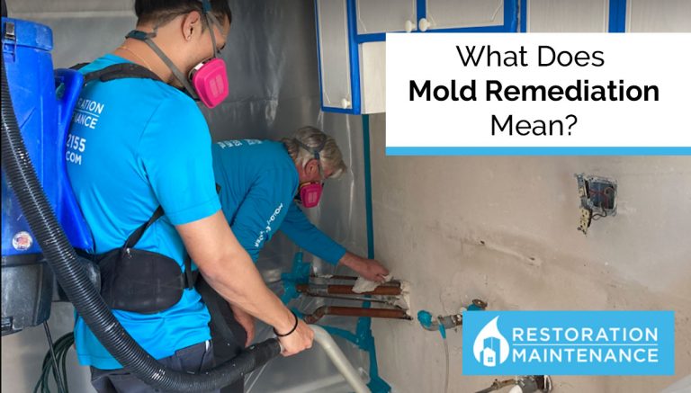 What Does Mold Remediation Mean?