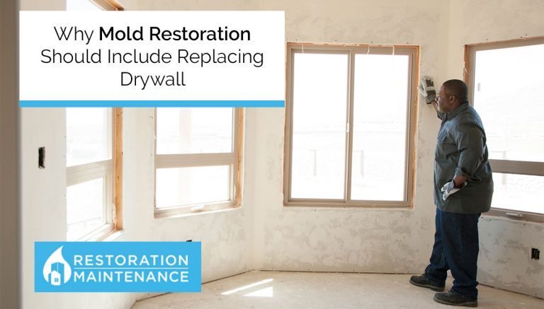 Why Mold Restoration Should Include Replacing Drywall