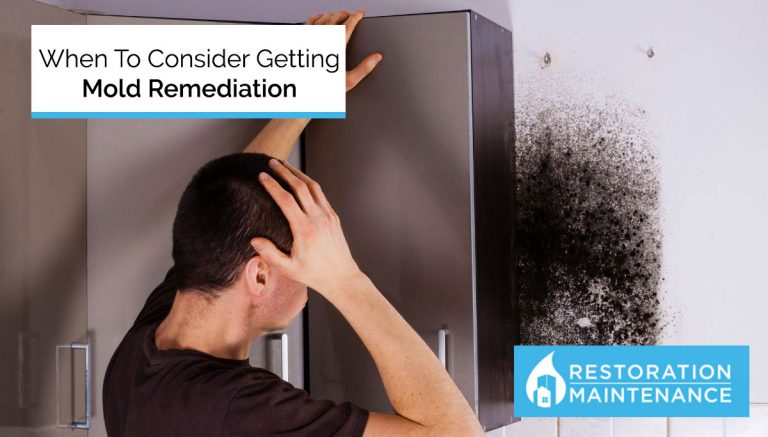 When To Consider Getting Mold Remediation