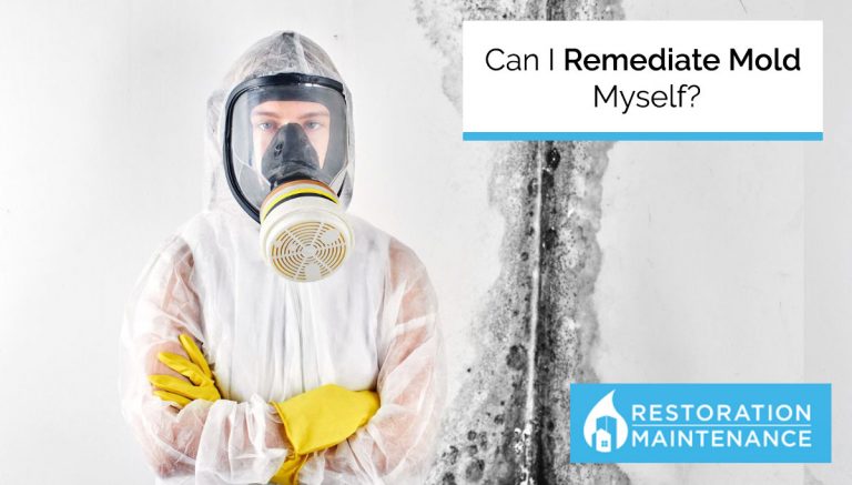 CAn I remediate mold myself? A person in hazmat suit and goggles with a lemon.