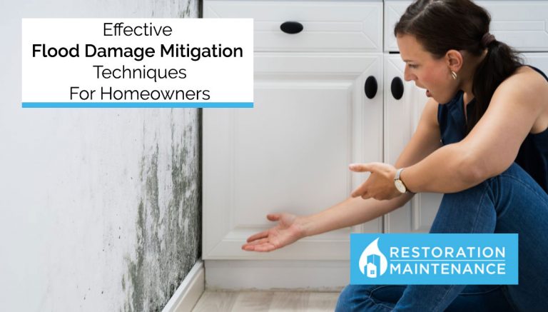 Effective Flood Damage Mitigation Techniques For Homeowners
