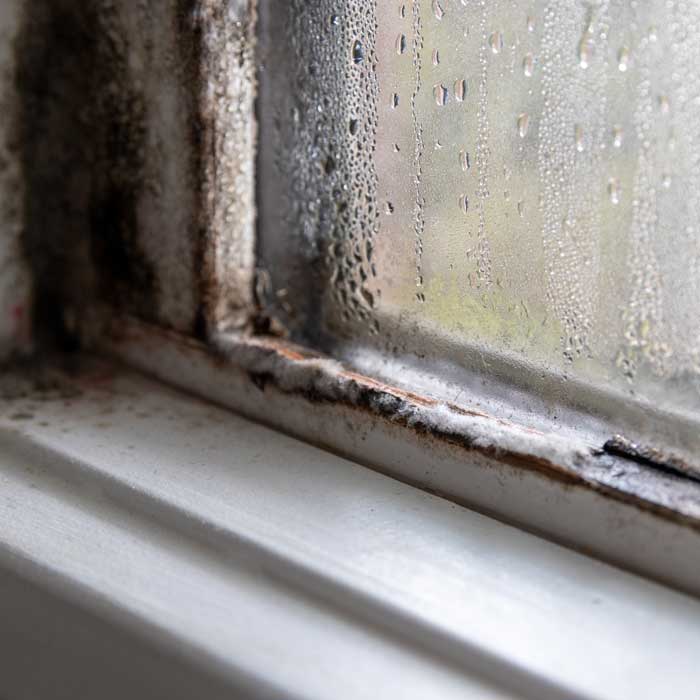 Moldy window in Florida home - florida home restoration