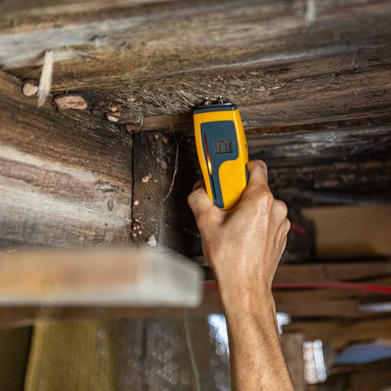 A person holding a yellow device in their hand - mold remediation financing