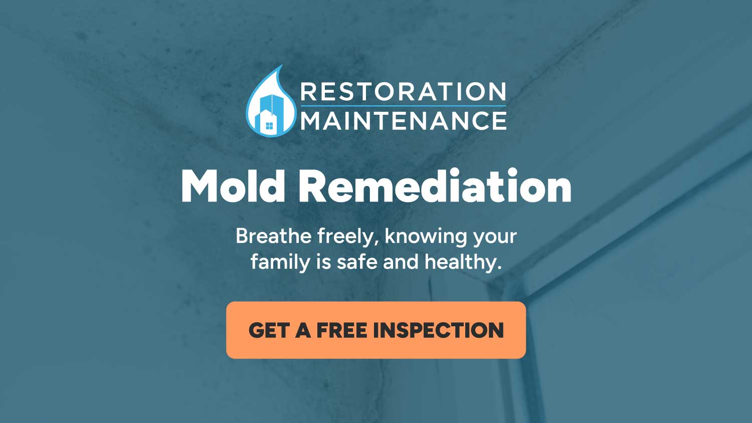 Miami Mold Remediation Miami Mold Remediation
