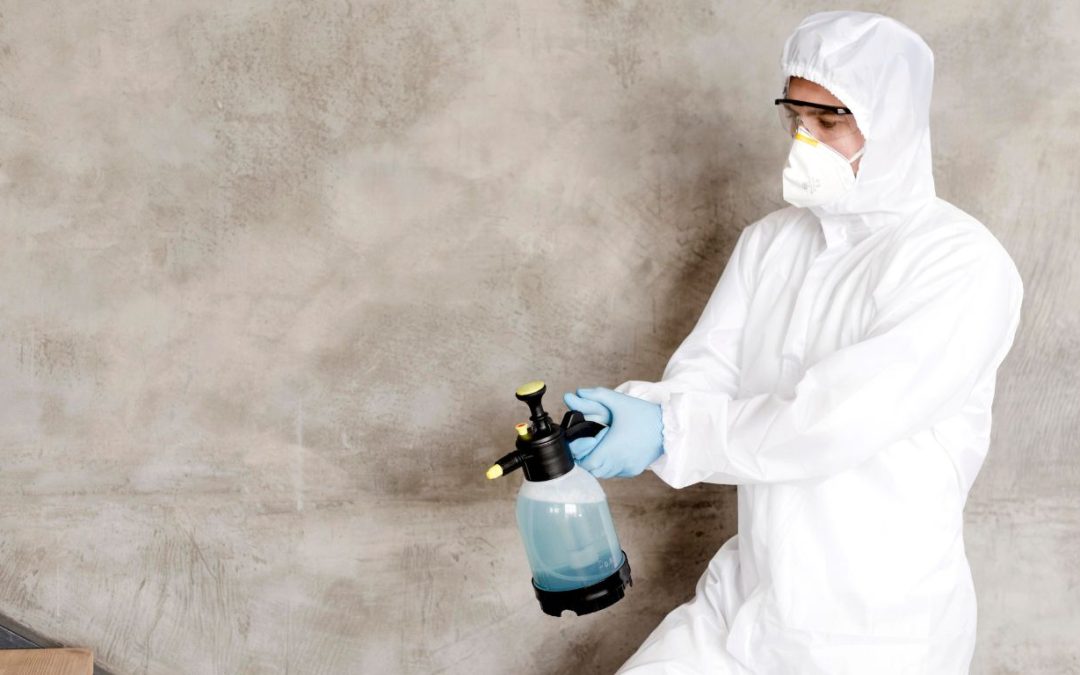 Why Florida’s Climate Makes Professional Mold Remediation Essential