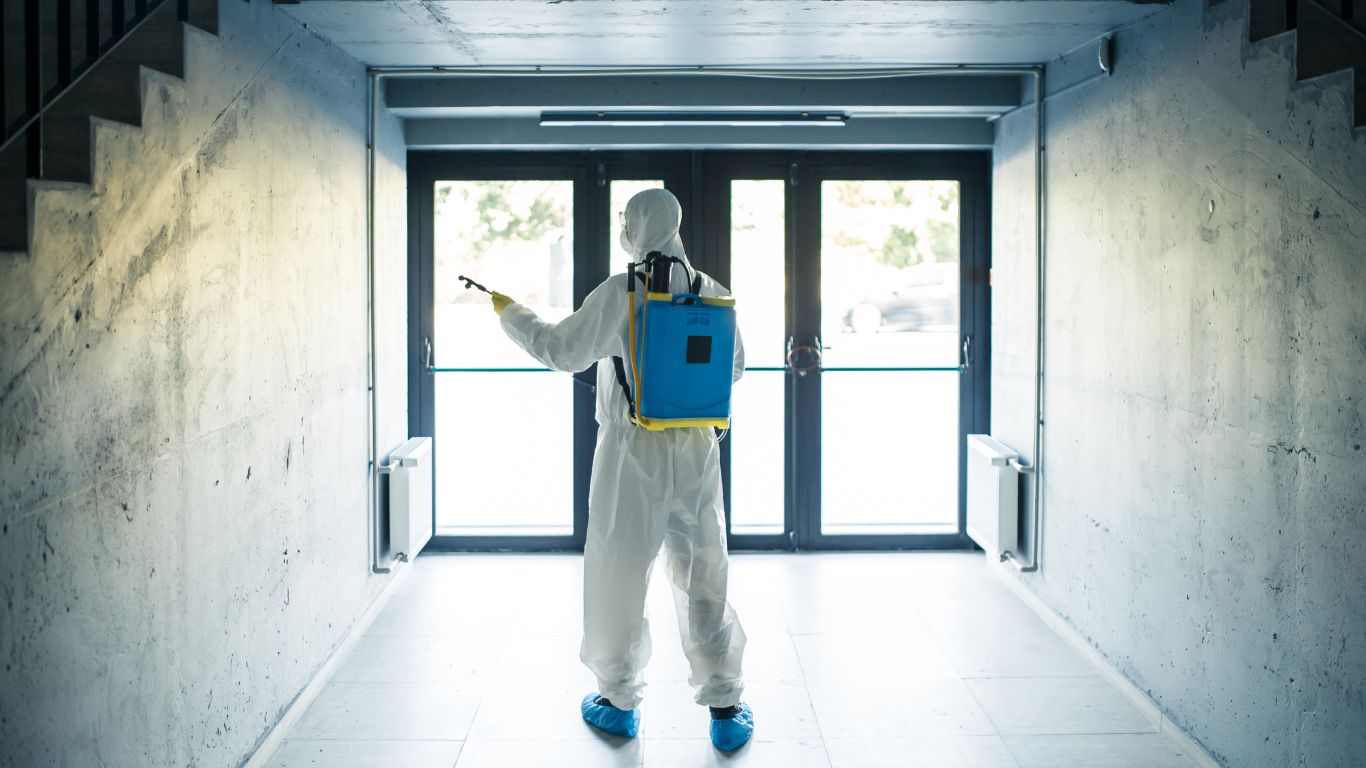 professional-mold-removal-services-inspecting-mold-in-commercial-property