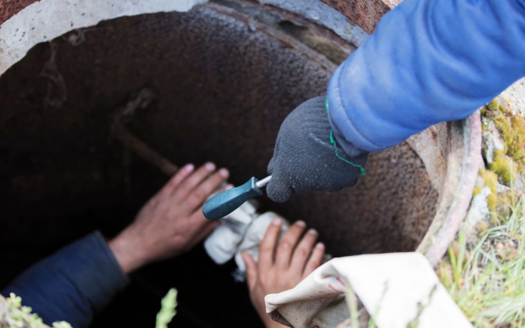 Key Qualities to Seek in a Sewage Backup Cleanup Professional