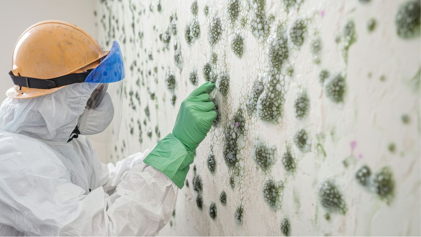 mold remediation expert assessing the impact of damage in the property