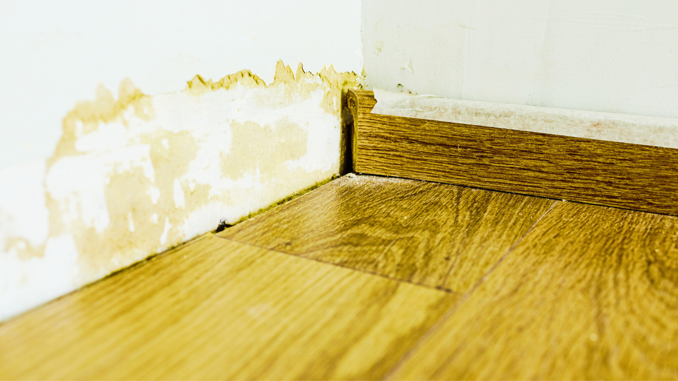 Close-up of water-damaged walls and flooring, emphasizing the need for professional water damage restoration.