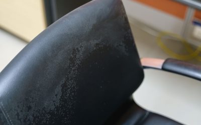 Get Back to Work Fast With Commercial Mold Remediation