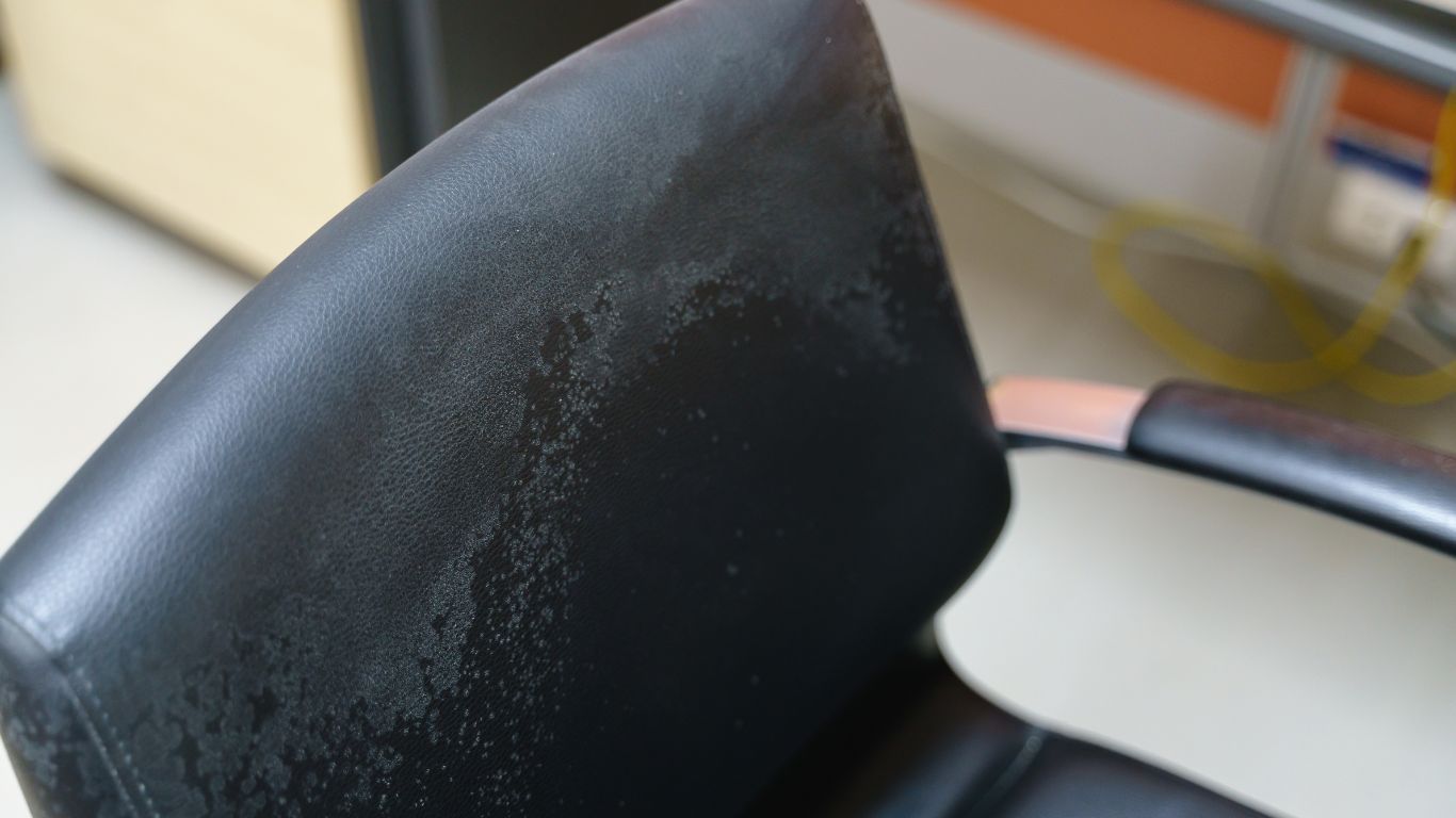 Commercial mold remediation removing moisture damage from office chair and interior surfaces.