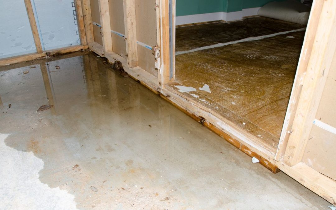 The Real Cost of Delaying Sewage Cleanup in Oakland Park