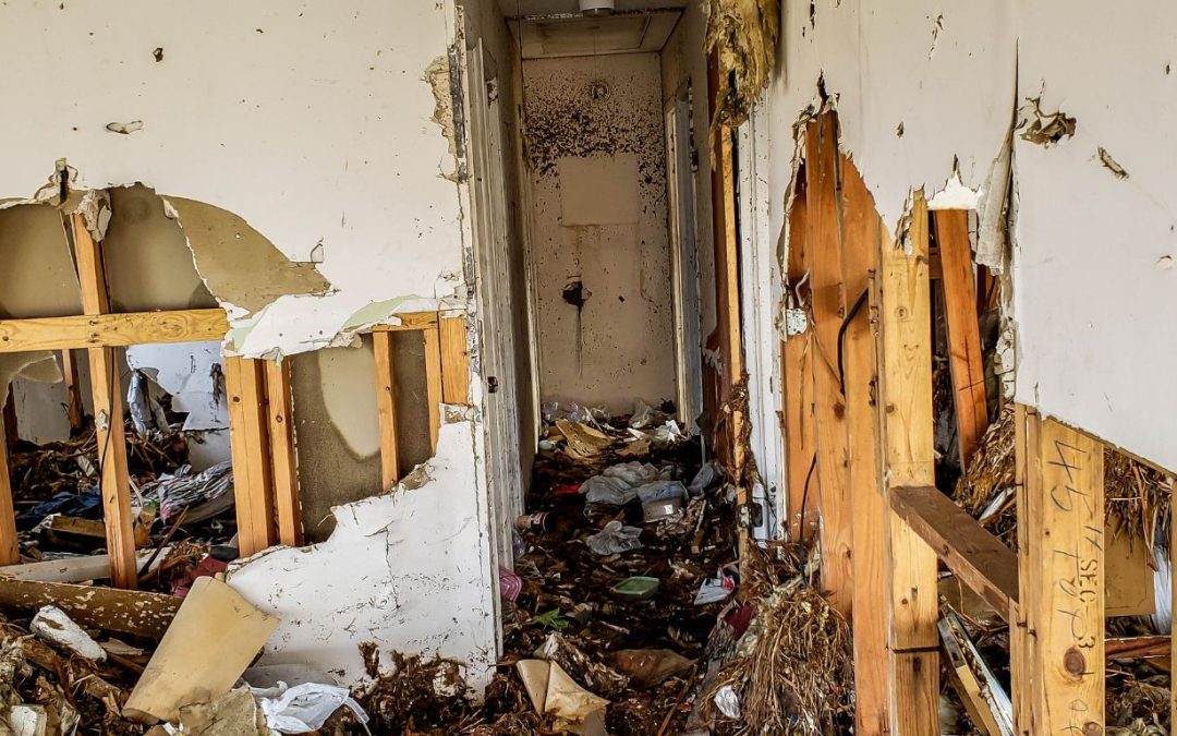 Why Water Damage Restoration in Oakland Park Cannot Wait Until Morning After a Flood