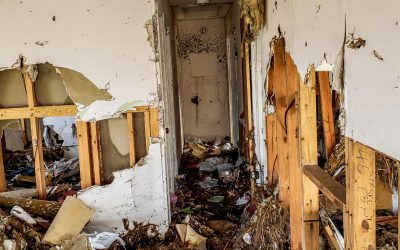Why Water Damage Restoration in Oakland Park Cannot Wait Until Morning After a Flood