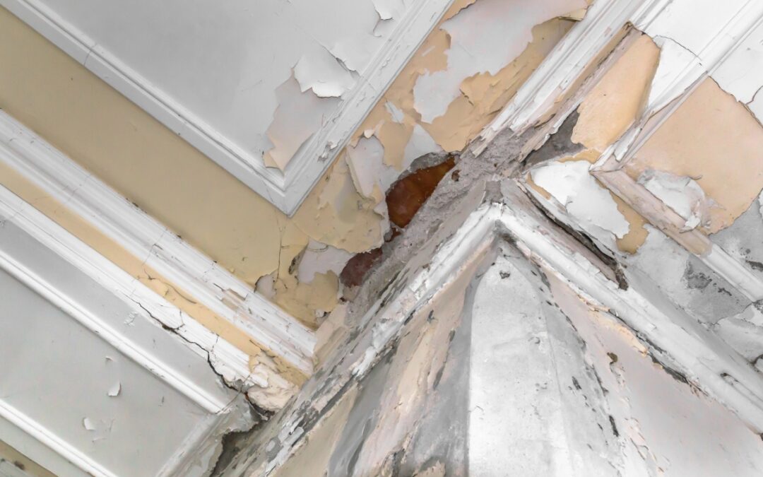 Water Damage Restoration: What to Do in the First 24 Hours