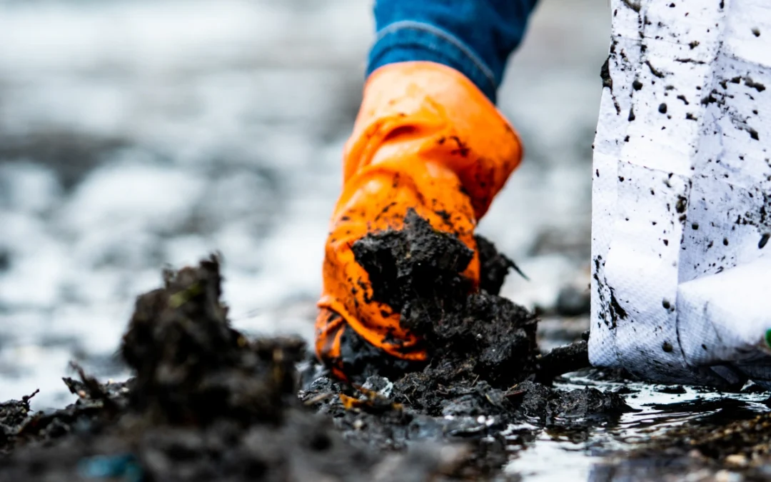 Sewage Cleanup: Why This Is Not a DIY Job