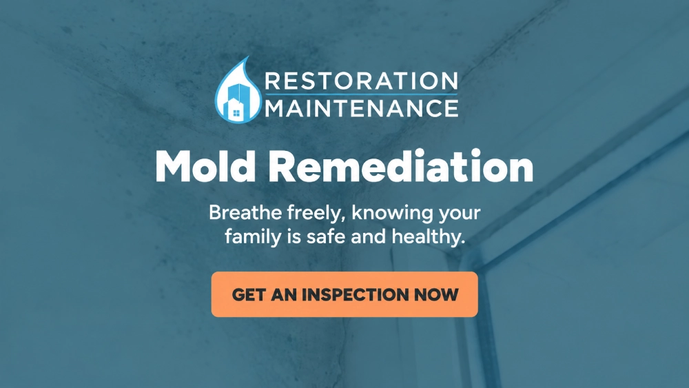 Lake Worth Mold Remediation Lake Worth Mold Remediation